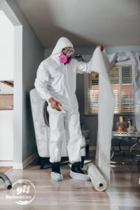 mold removal restoration remediation crew boise